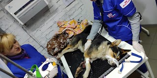 Ветеринарная клиника Ветпомощь Клецова