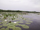 Водний лабіринт