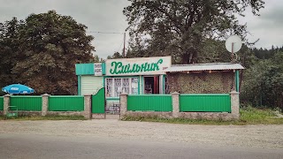 Хмільник