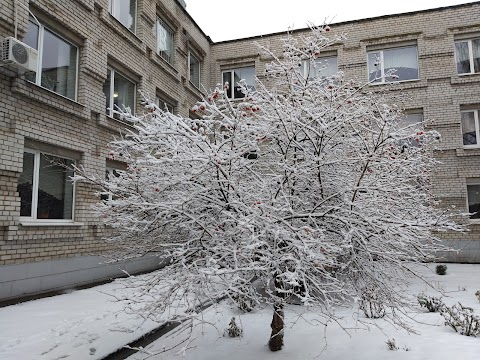 Колегіум "Елінт"