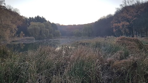 Голосеевский парк