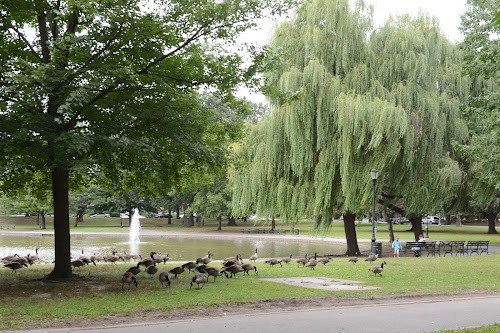 Bowne Park