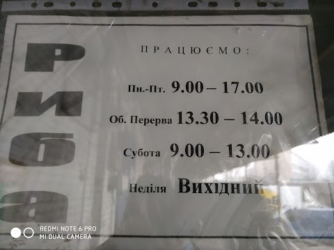 Рыбный склад