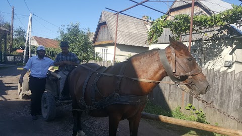 АМБУЛАТОРІЯ ЗАГАЛЬНОЇ ПРАКТИКИ -СІМЕЙНОЇ МЕДИЦИНИ С.КОШЕЛЕВО ХУСТСЬКОГО РАЙОНУ ЗАКАРПАТСЬКОЇ ОБЛАСТІ