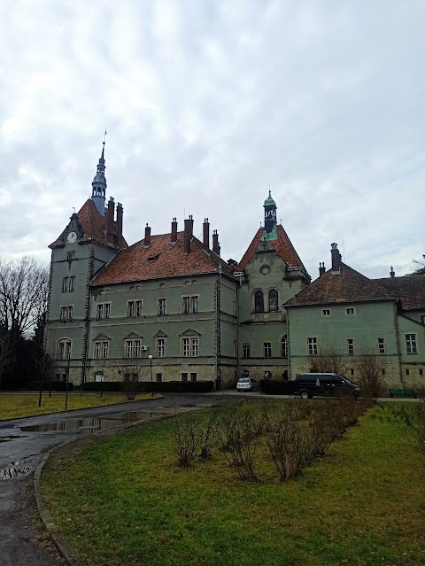 Палац графів Шенборнів (Замок Берегвар)