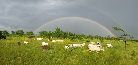 зупинка ХРИСТИНОВКА