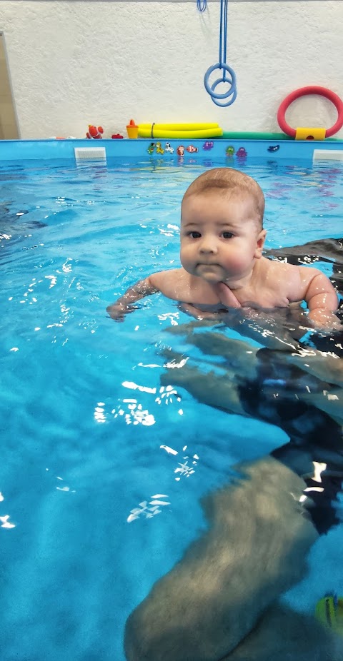 Дитячий бассейн "Baby Swim Studio"