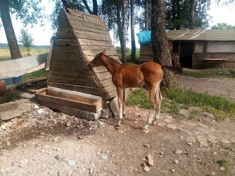 Клуб-козацький герць