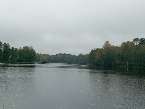 ПЕРЕГІНСЬКА ЗАГАЛЬНООСВІТНЯ ШКОЛА І-ІІ СТУПЕНІВ