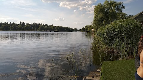 Аркада SPA