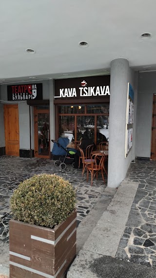 KAVA TSIKAVA