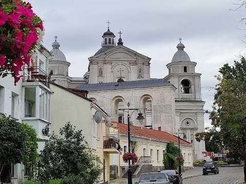 Кафедральний костел святих апостолів Петра і Павла РКЦ