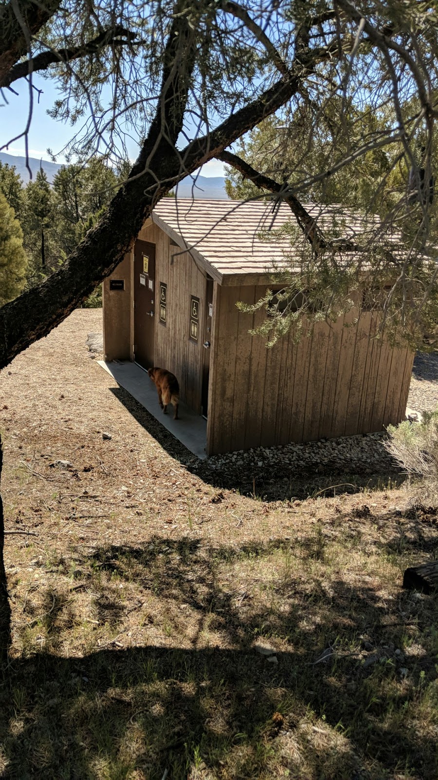 Humboldt-Toiyabe/South Ruby Campground