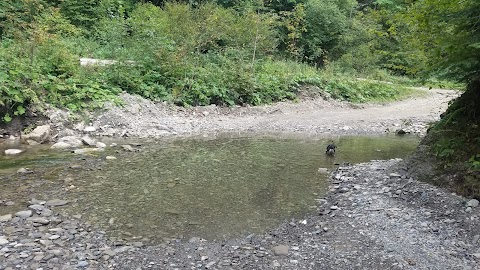 Національний природний парк "Вижницький"