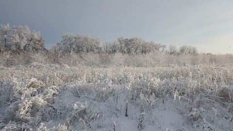 Хвилинка