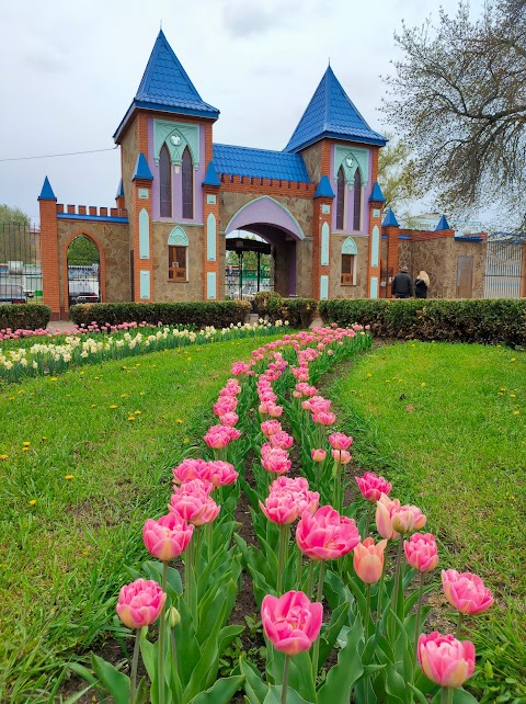 Дендропарк міський