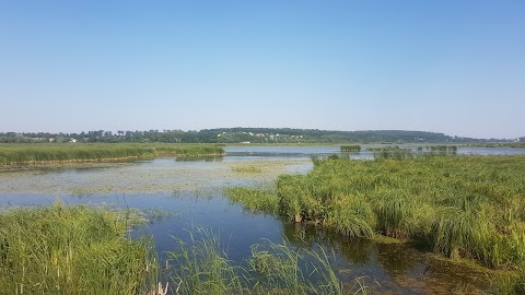 Пляж "ОАЗИС"