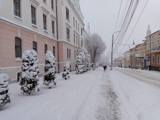 Чортківський інститут підприємництва і бізнесу Тернопільської академії народного господарства