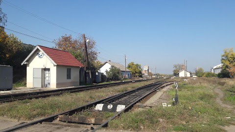 Берегівська Міська Бібліотека