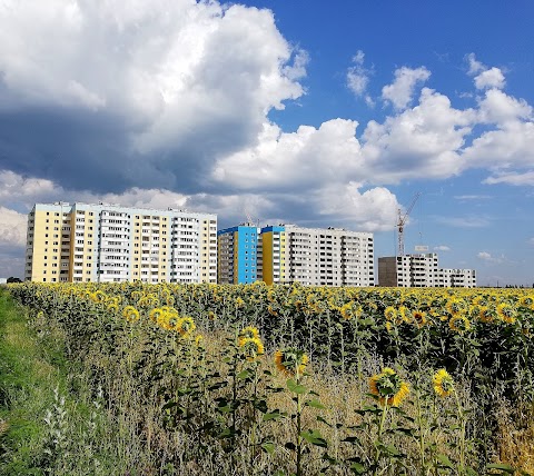 Полтавський Домобудівельний Комбінат