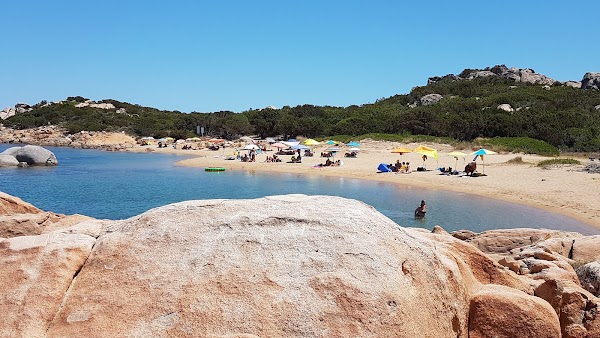 foto della Playa Poltu Manzu