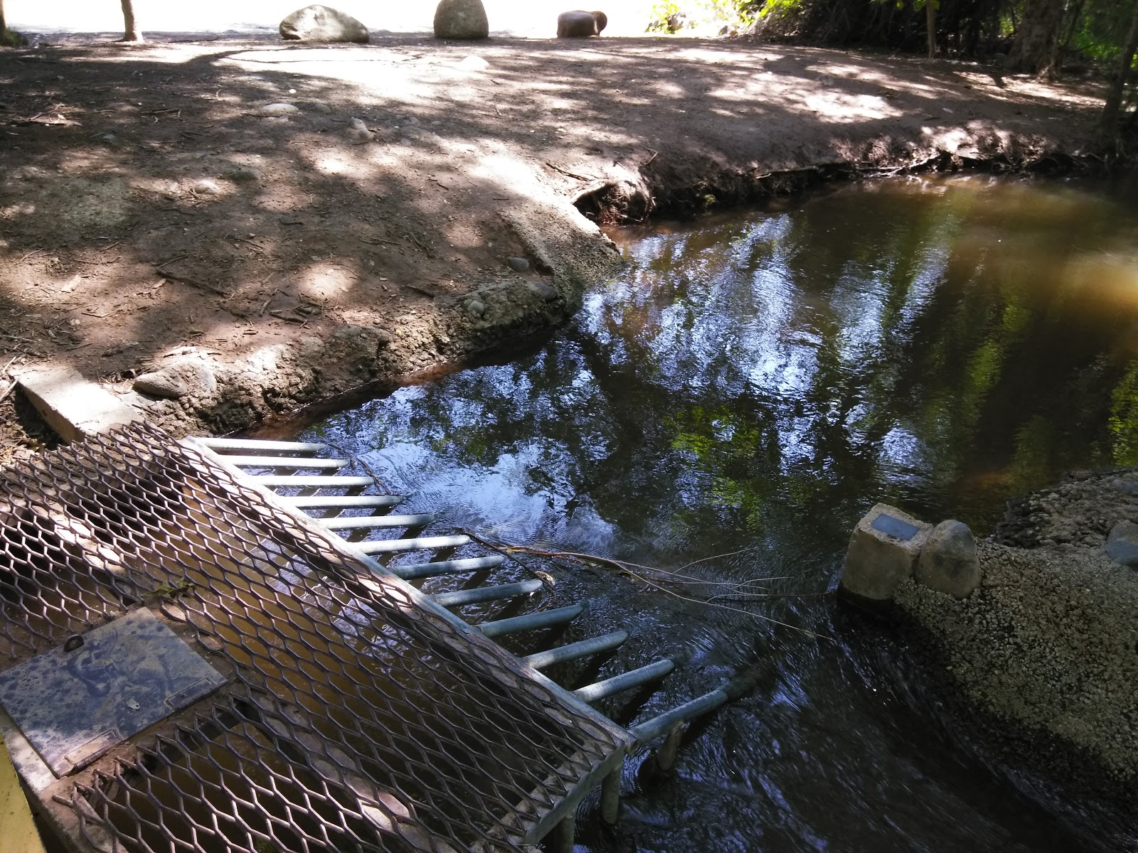 Coconino/Clear Creek