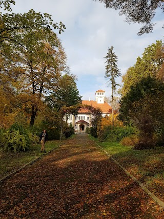 Сторожинецький Лісовий Коледж