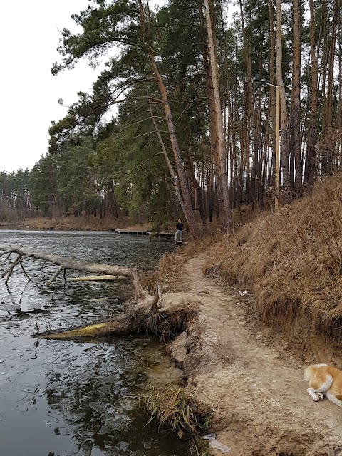 Рыбацкая стрелка