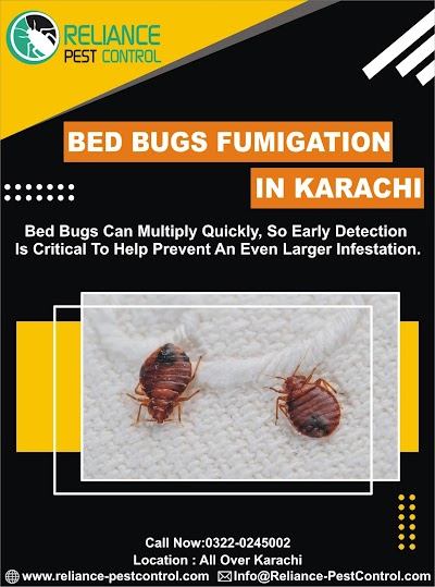 photo of Reliance Pest Control Service, fumigation services in Karachi, termite proofing treatment, bed bugs, cockroaches, disinfection