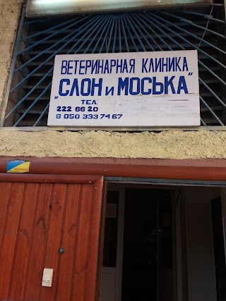 Слон і Моська