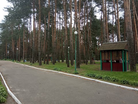 Електронік-Рівне