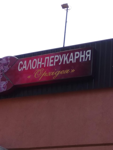 Орхідея