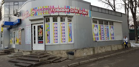 Оселя