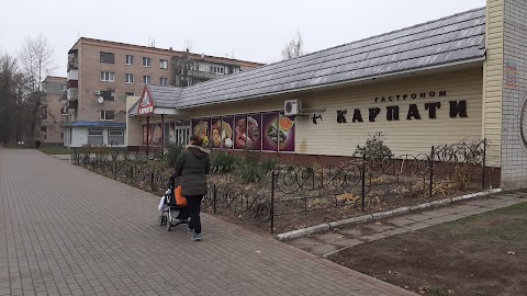 Карпати