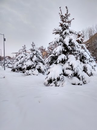 Музикальна школа