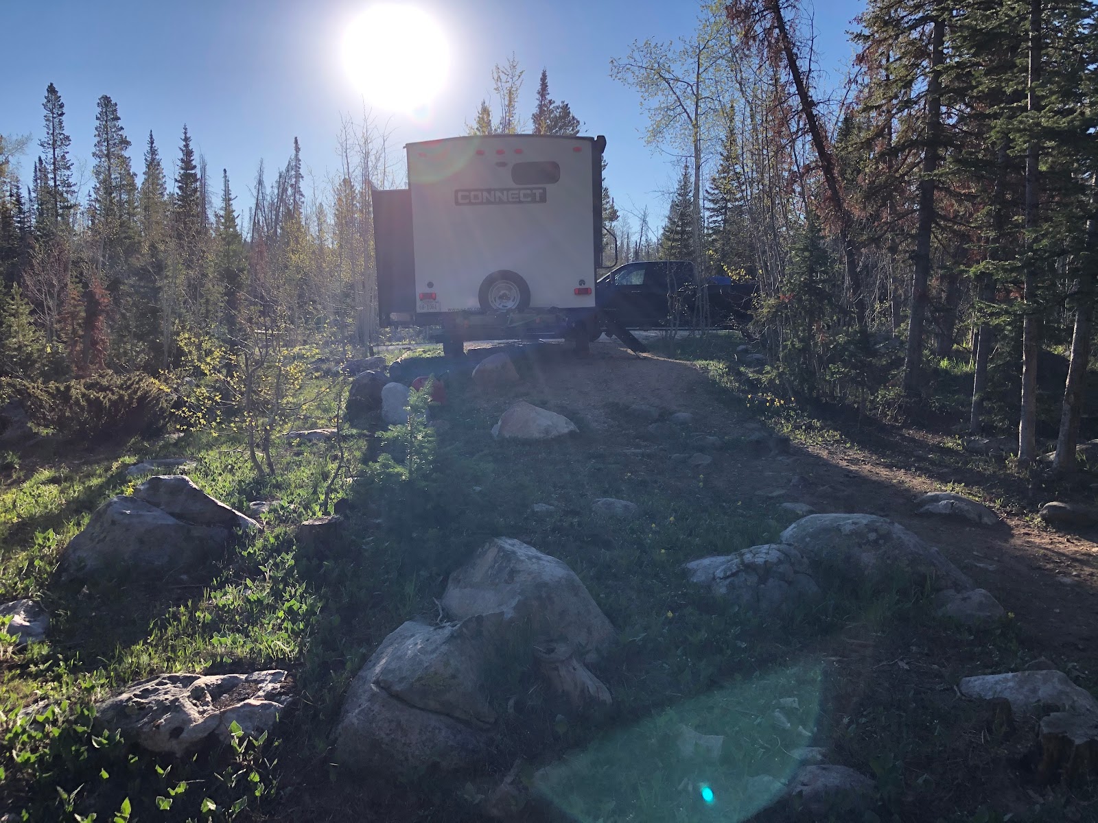 Medicine Bow-Routt/Bow River