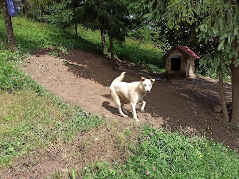 База відпочинку Едельвейс