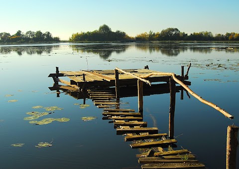 Гощанське водосховище, став