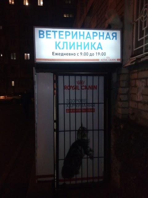 Ветеринарная Клиника