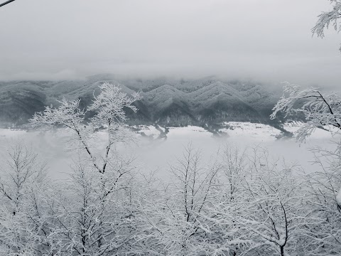 Красія Резорт