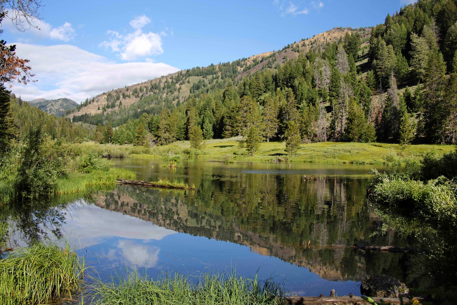 Salmon-Challis/Park Creek