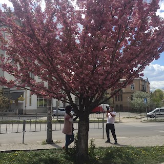 ОТП Банк, регіональне відділення м. Івано-Франківськ