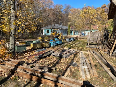 Музей бджільництва імені Л.І.Боднарчука