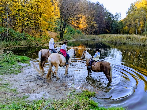 Каретний двір