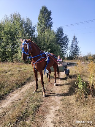 Лавочки