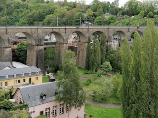 OZON бруківка