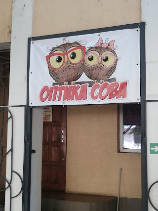 Оптика Сова