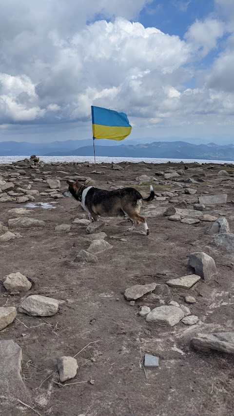 ТА "Гуцульські мандри"