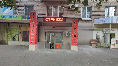 Экспресс стрижка