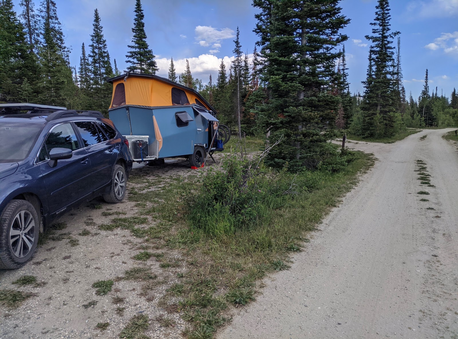 Medicine Bow-Routt/Ryan Park